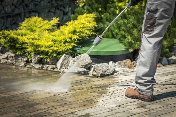 Best House Exterior Washing  in Mountain Iron, MN