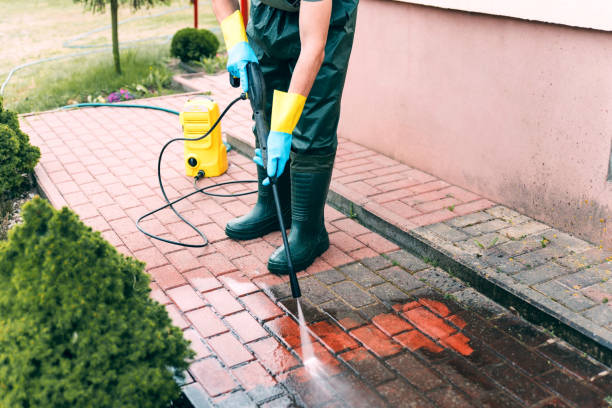 Best Spring Cleaning  in Mountain Iron, MN